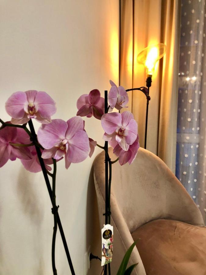 Old Town Romantic Apartment. Breslau-Wroclaw. Extérieur photo